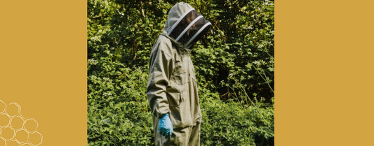 Beekeeper in protective gear surveying the apiary, emphasizing local honey production and raw honey benefits.