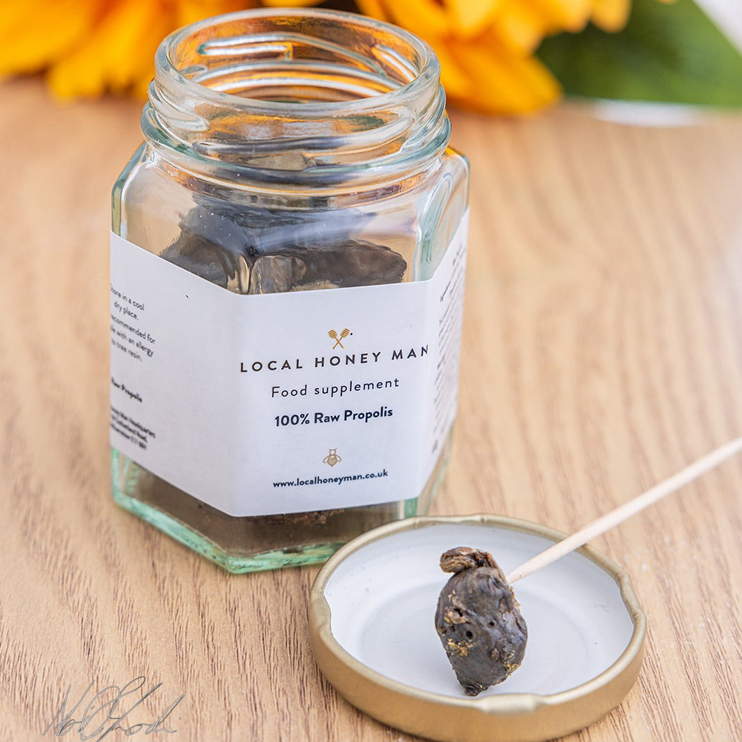 Raw Propolis | Potent Natural Remedy | 100g
