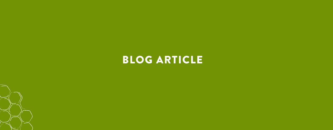 Blog article header with green background and honeycomb design elements.