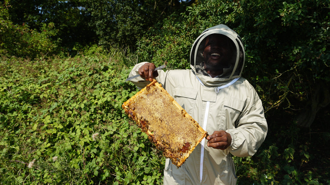 From High-Stress to High-Reward: Why Beekeeping is the Ultimate Retirement Plan