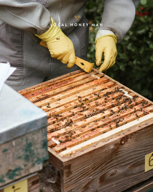 World Bee Day 2025: Celebrating Bees with Local Honey Man