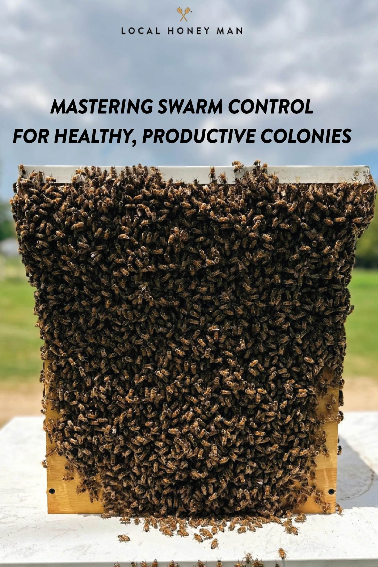 MASTERING SWARM CONTROL FOR HEALTHY, PRODUCTIVE COLONY