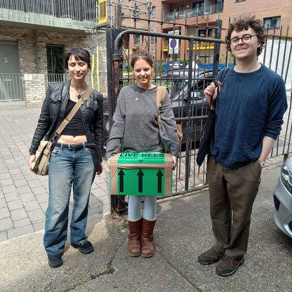 لانجستروث نوك من مجموعة عسل النحل (الإيداع)