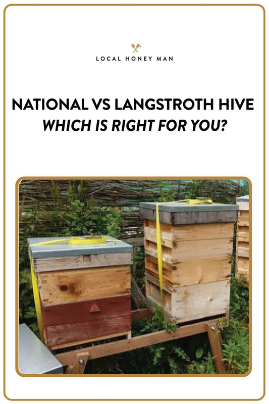 NATIONAL VS LANGSTROTH HIVE: WHICH IS RIGHT FOR YOU?