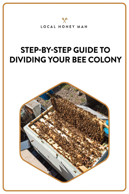 STEP BY STEP GUIDE TO SPLITTING YOUR BEE COLONY