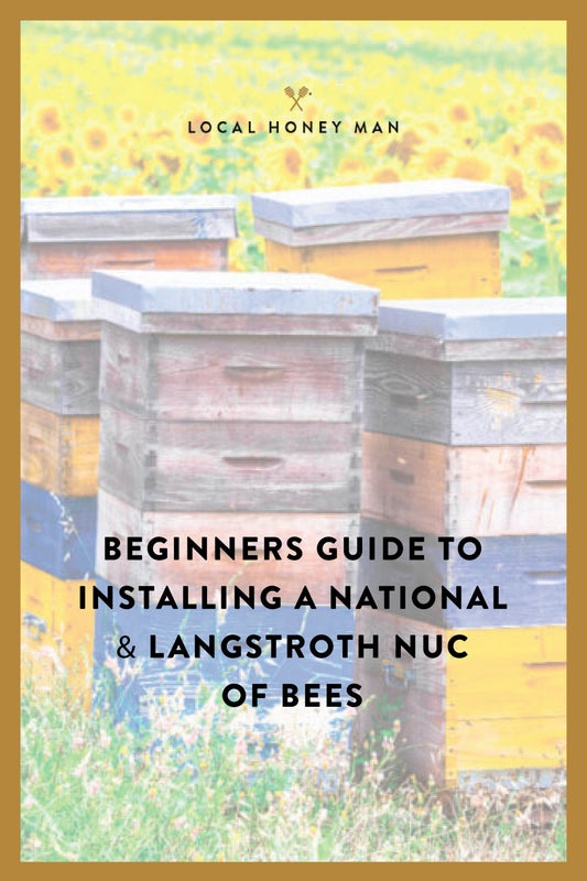 BEGINNERS GUIDE TO INSTALLING A NATIONAL & LANGSTROTH NUC OF BEES