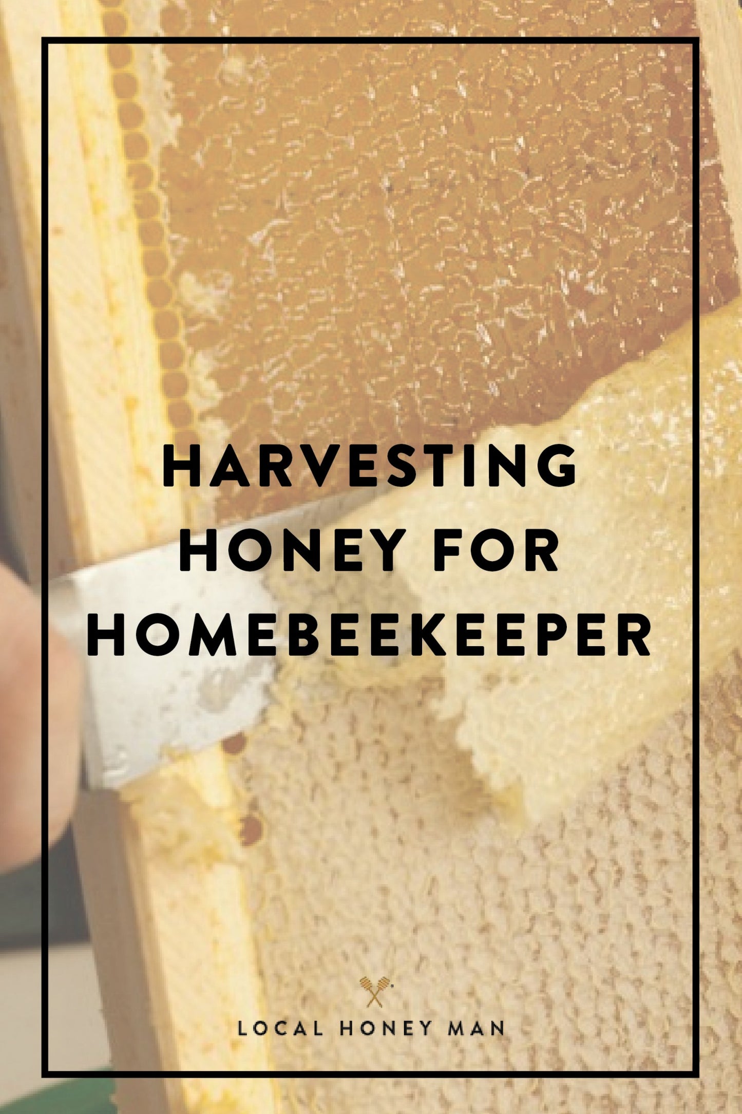 HARVESTING HONEY FOR HOMEBEEKEEPER
