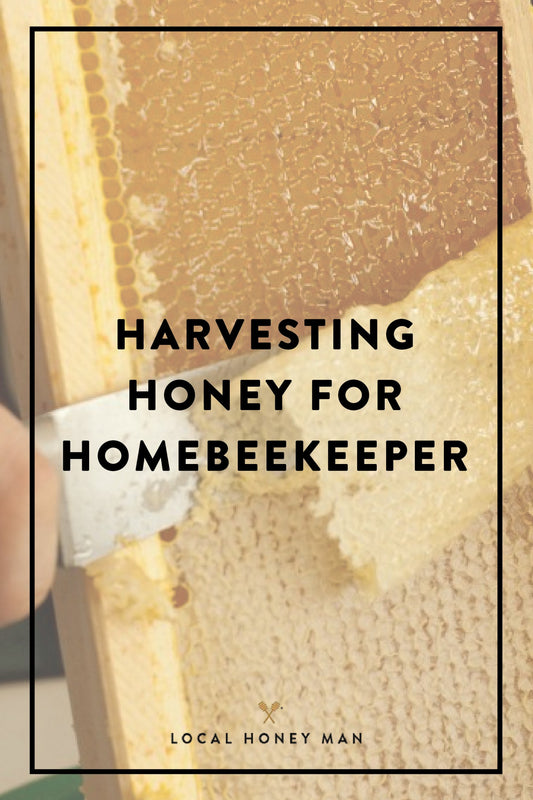 HARVESTING HONEY FOR HOMEBEEKEEPER