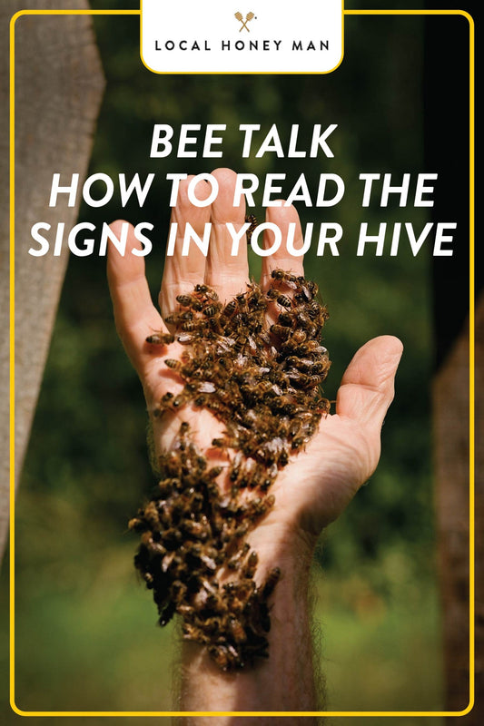 BEE TALK: HOW TO READ THE SIGNS IN YOUR HIVE