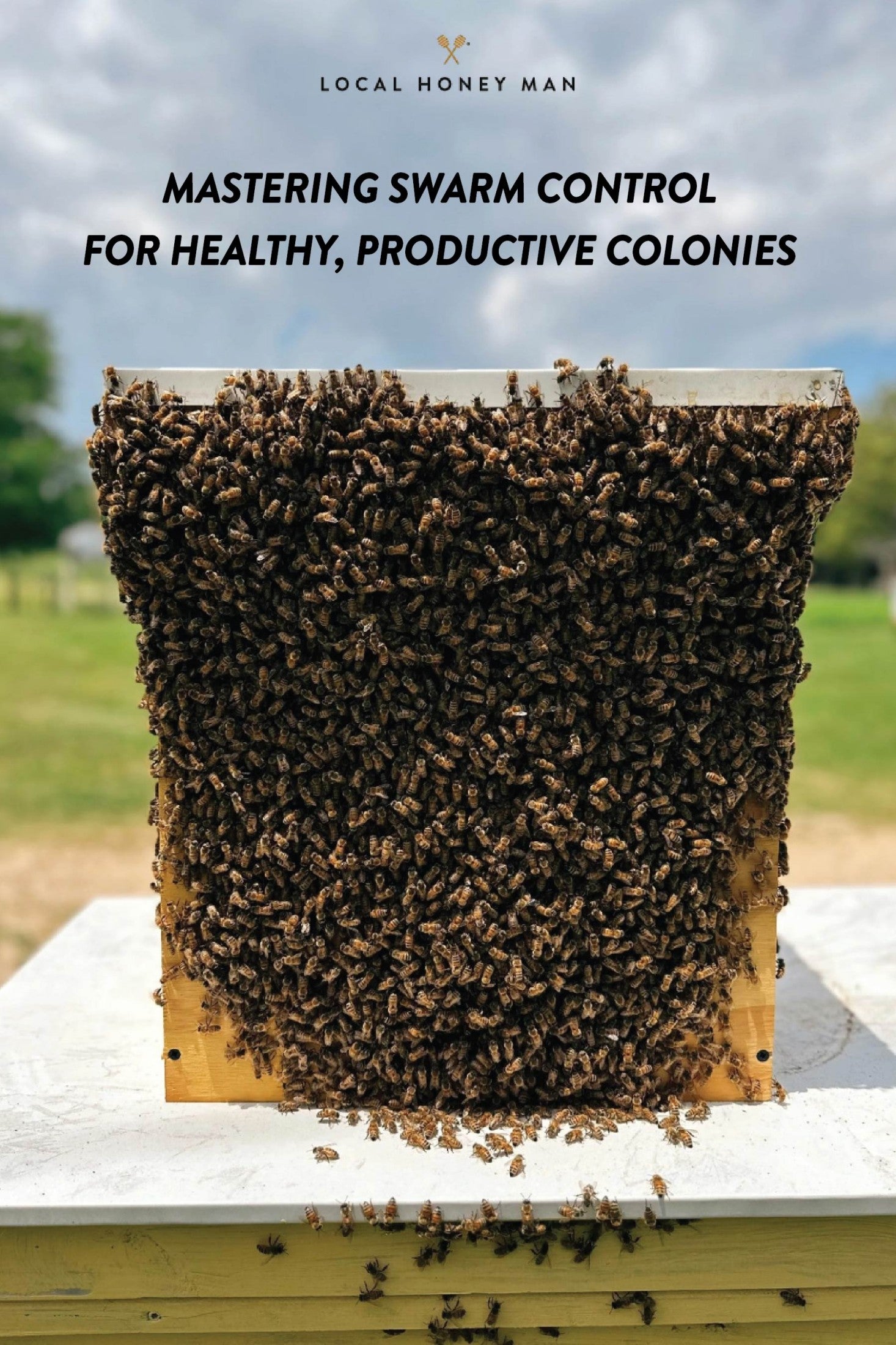 MASTERING SWARM CONTROL FOR HEALTHY, PRODUCTIVE COLONY – Local Honey Man