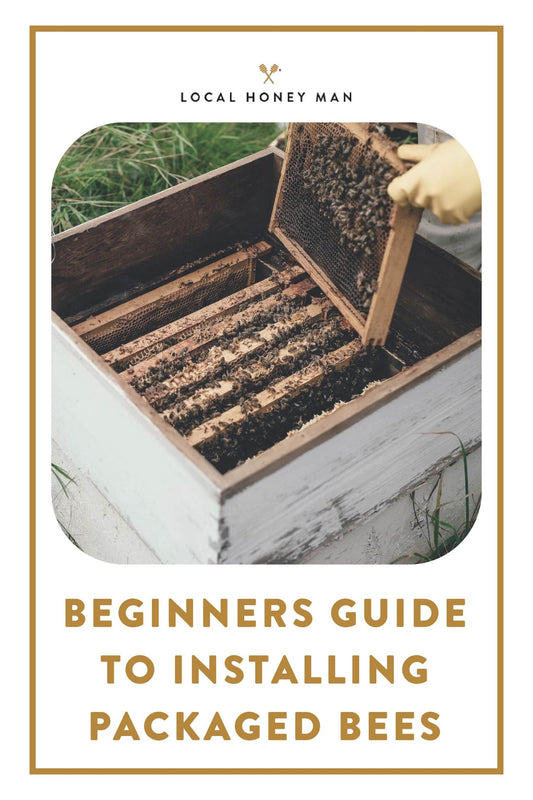 BEGINNERS GUIDE TO INSTALLING PACKAGED BEES